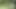 French Summer Love Part #2 – Fully remastered in HD