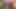 Hd video 4k I love you